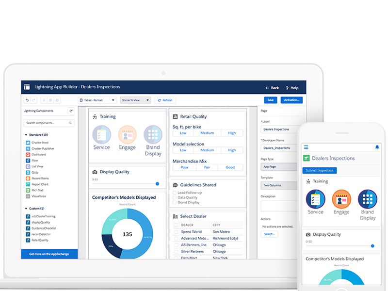 Salesforce Interface